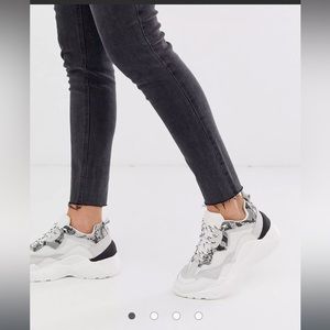 Steve Madden “dad” sneaker, snakeskin